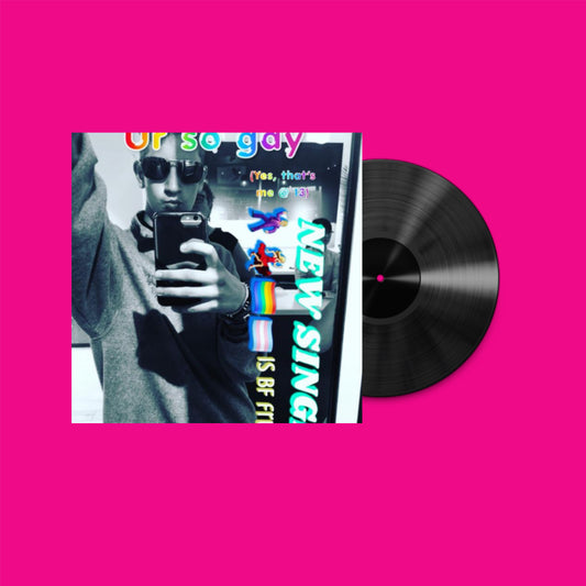 UR SO GAY VINYL